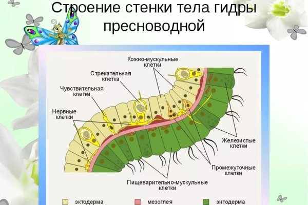 Кракен ссылки онлайн