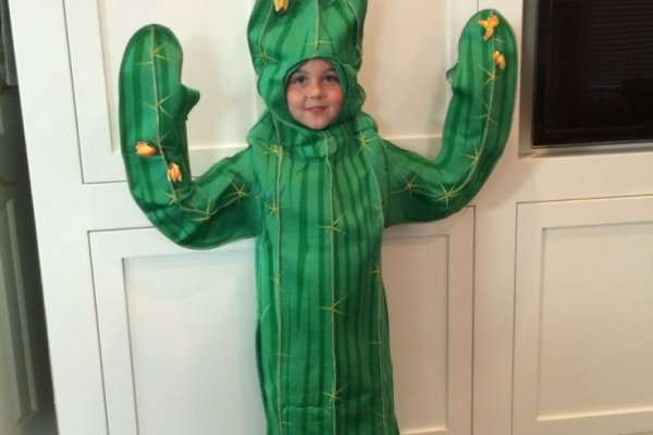 Kraken official