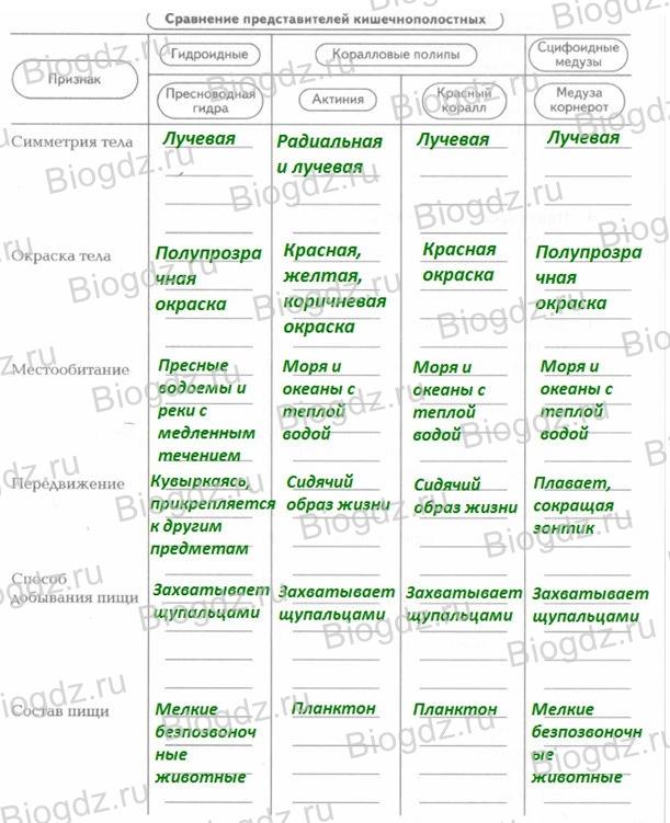 Ссылка на кракен тор kr2web in